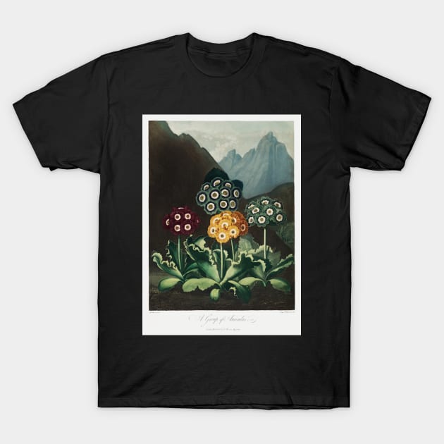 A group of Auriculas T-Shirt by Cleopsys